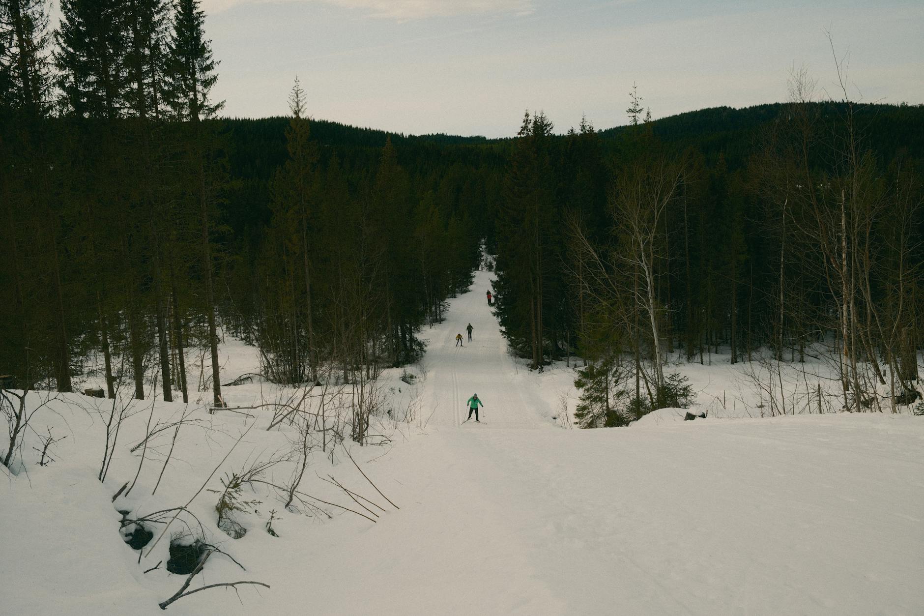 Best Cross-Country Skiing Resorts in Scandinavia 2026