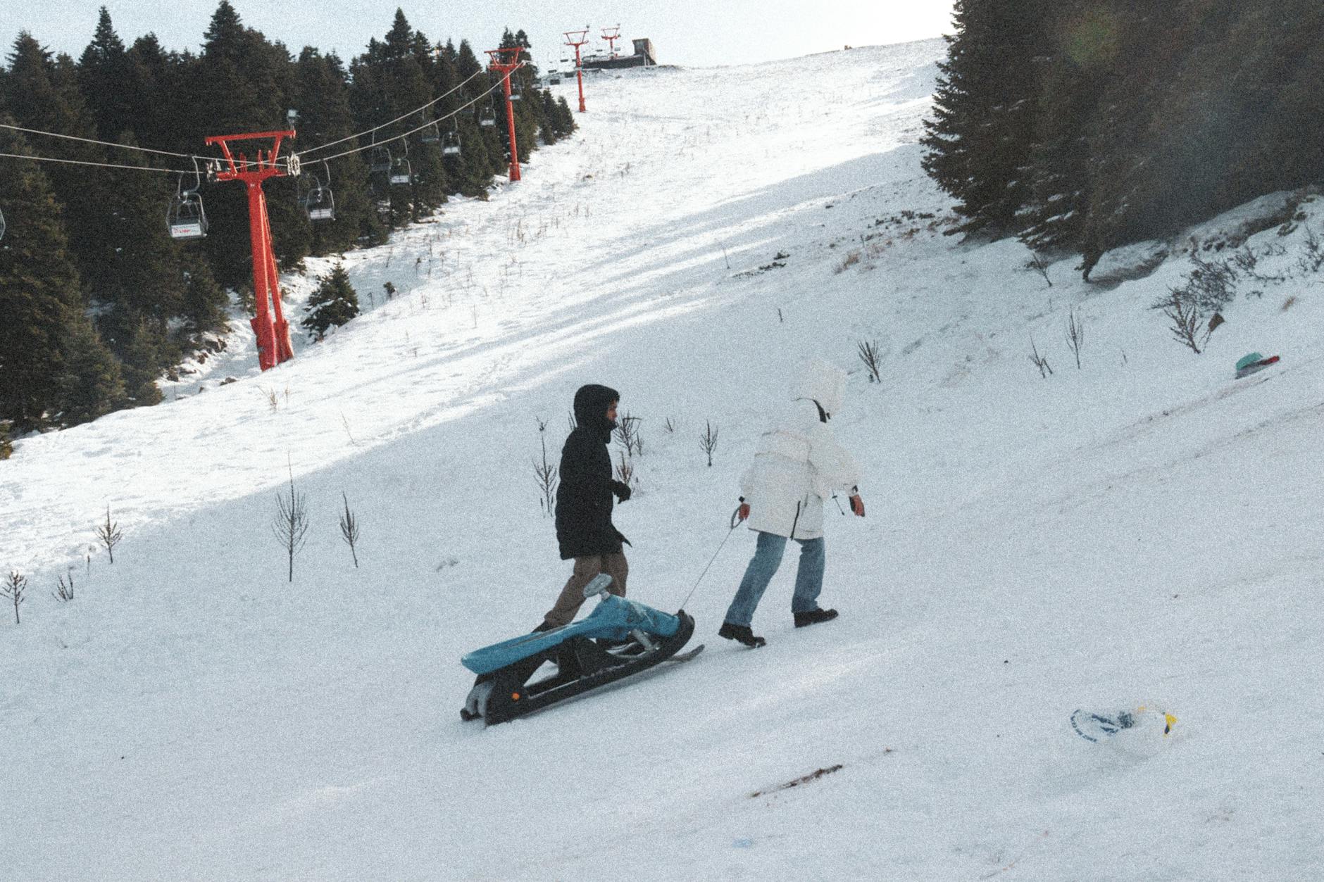 Free Riding: Definition, Causes & Public Goods Impact