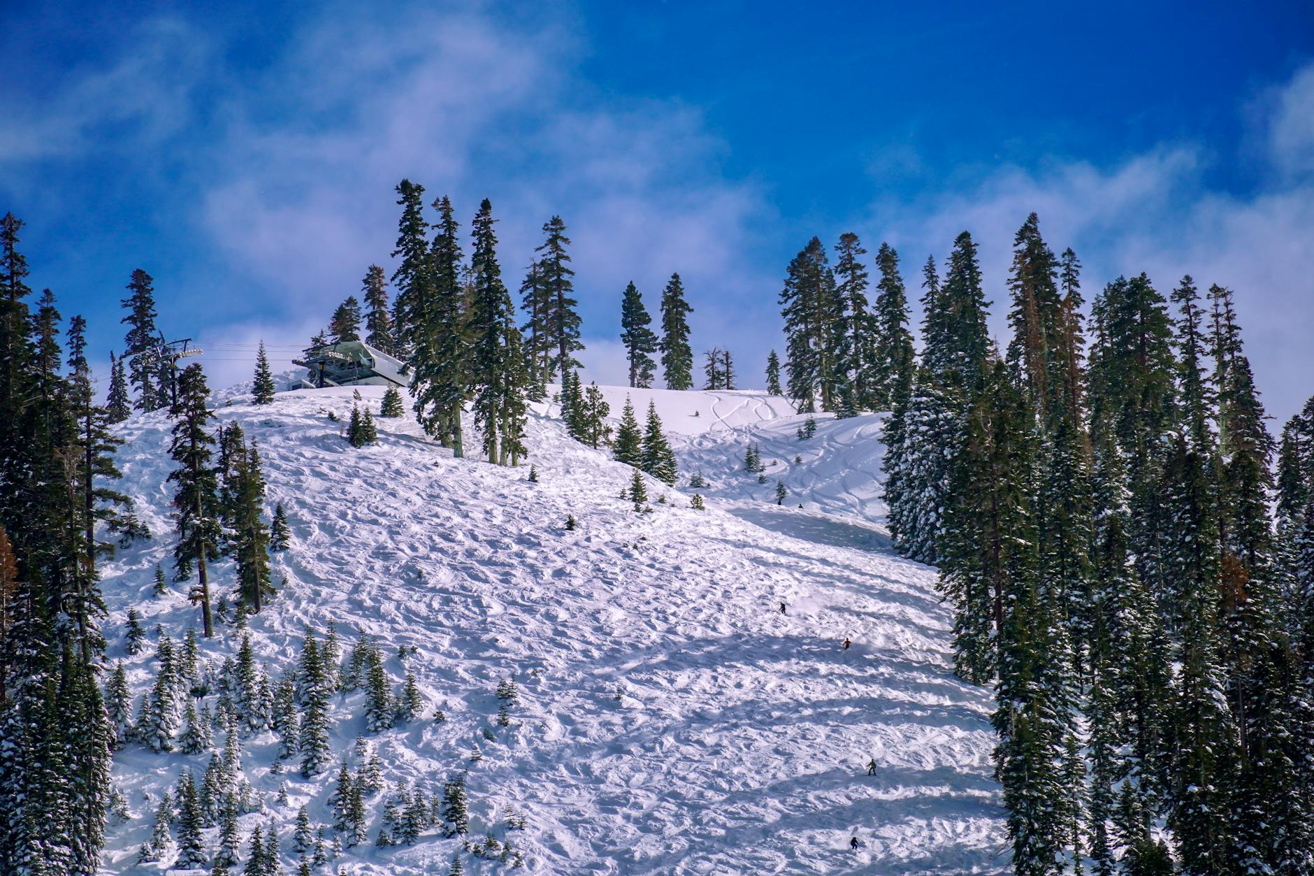 Top USA Ski States Ranked 2025-26