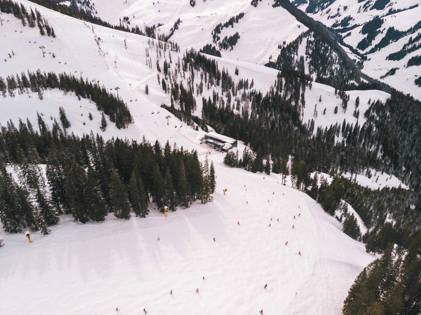 Beaver Creek First-Timer: Essentials, Tips, Highlights