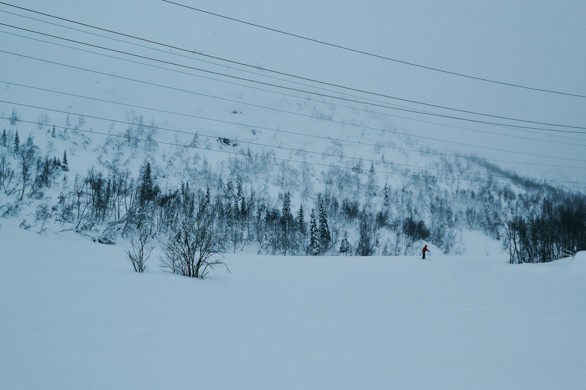 Best Time to Visit Norway