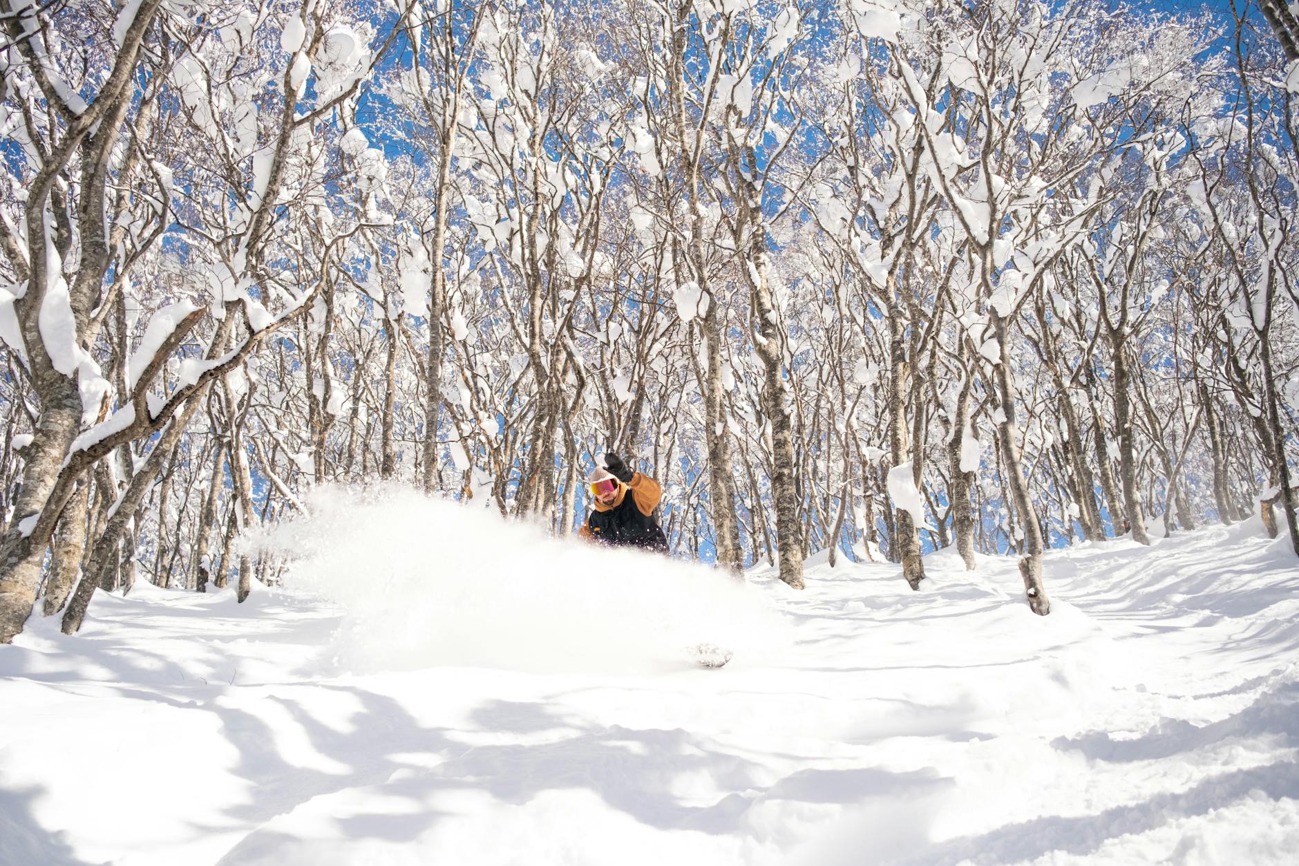 Hokkaido Ski Touring Etiquette: Safe Tips