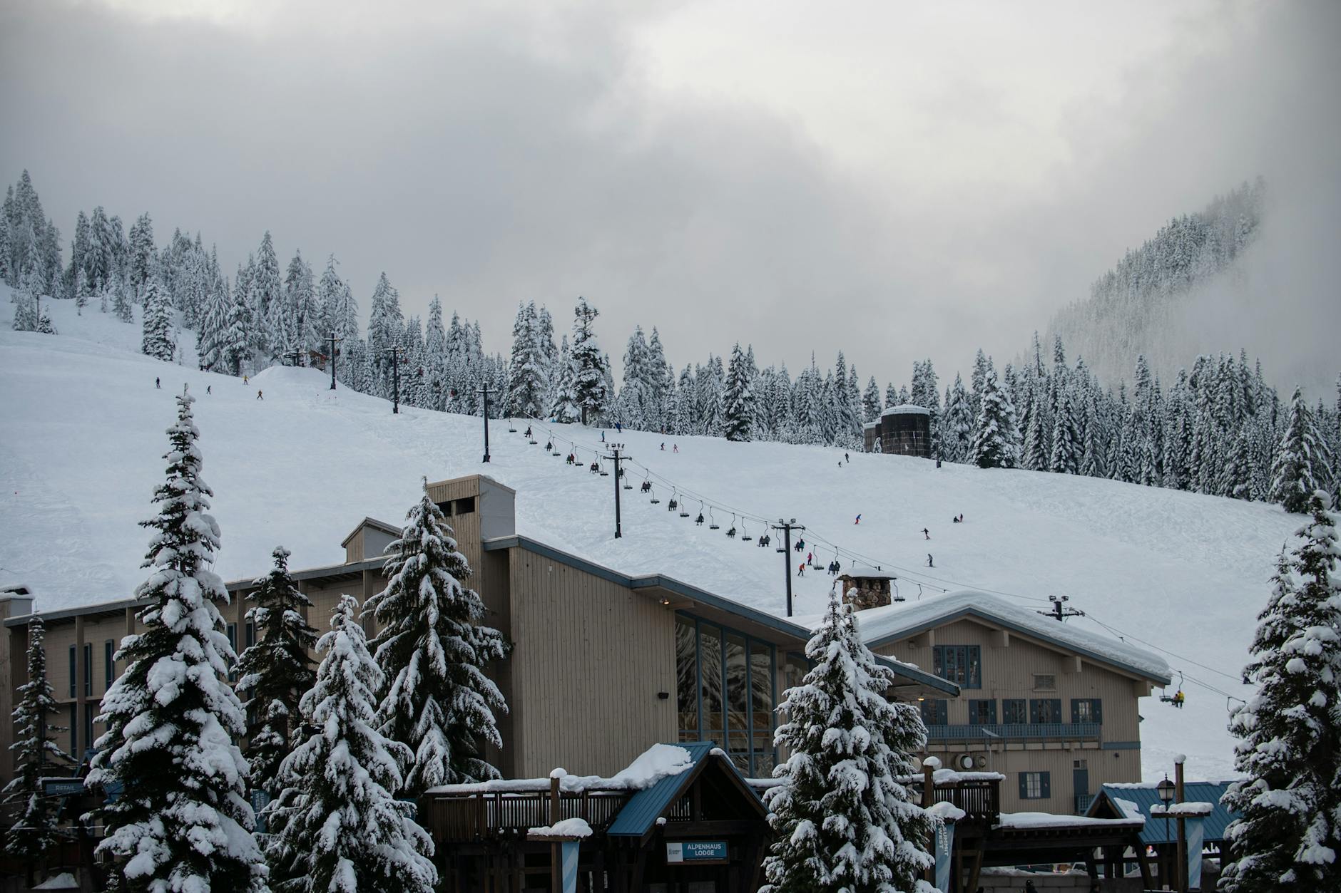 How to Ski with a Guide - Essential Tips for Safe Guided Skiing