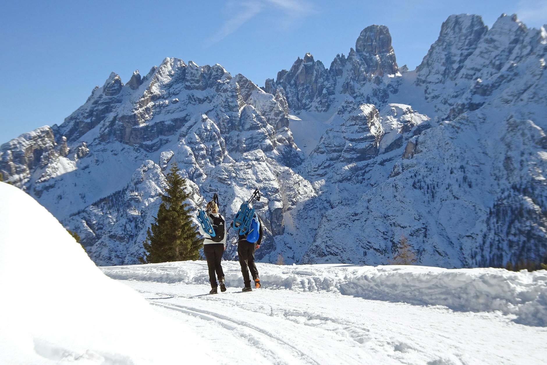 Milano Cortina 2026 Winter Olympics - Your Complete Guide
