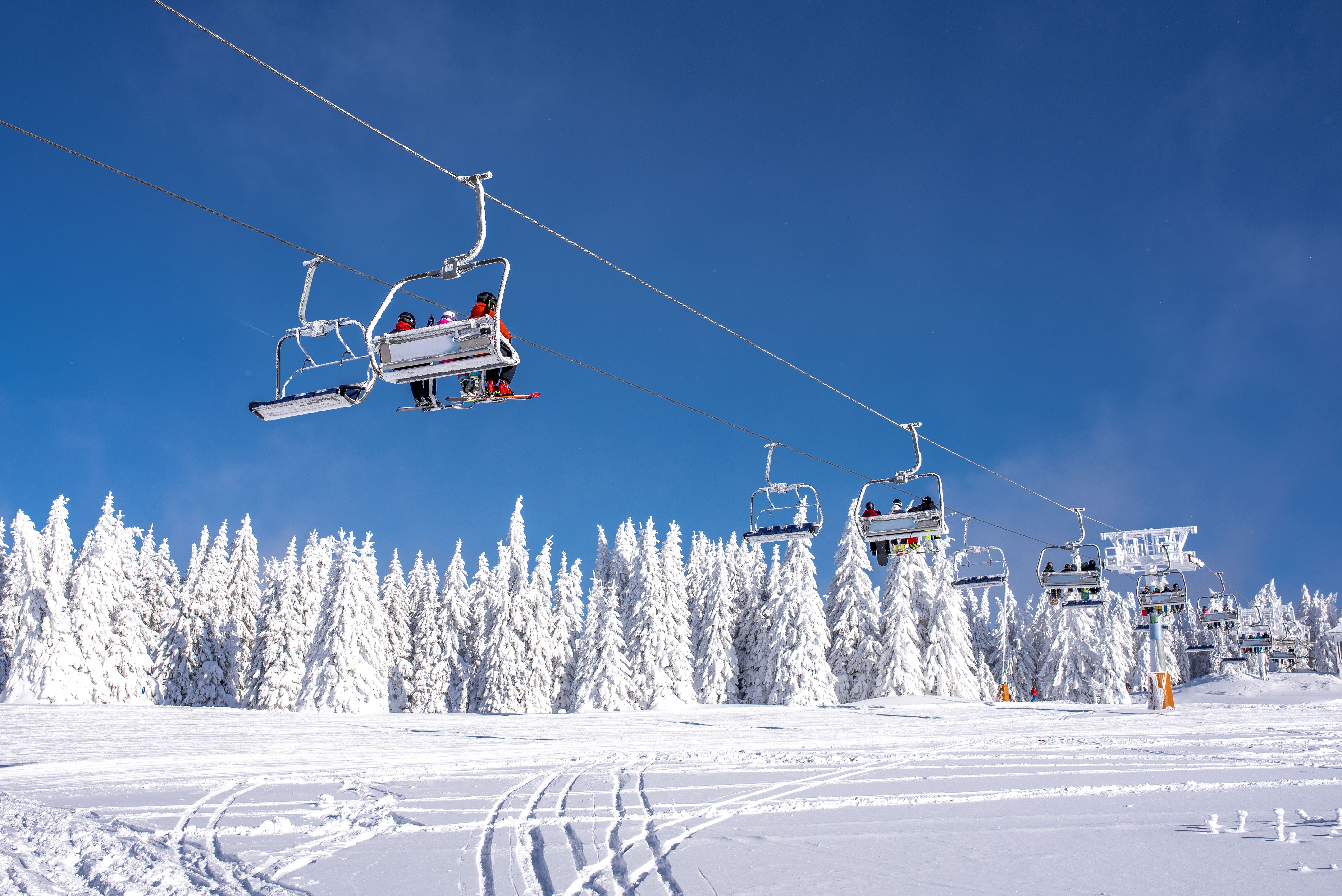 Ski Lift: The Backbone of Mountain Resort Transit