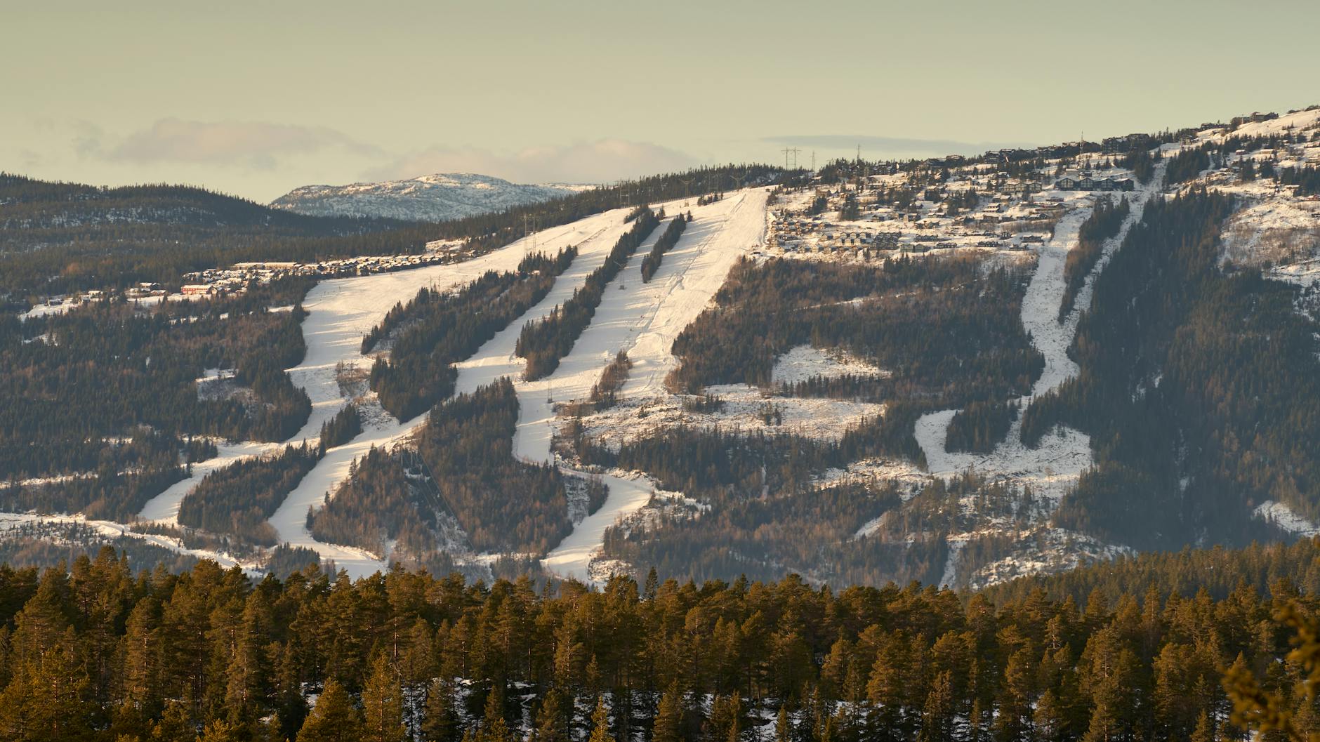 Skiing Techniques for All Levels - A Comprehensive Guide