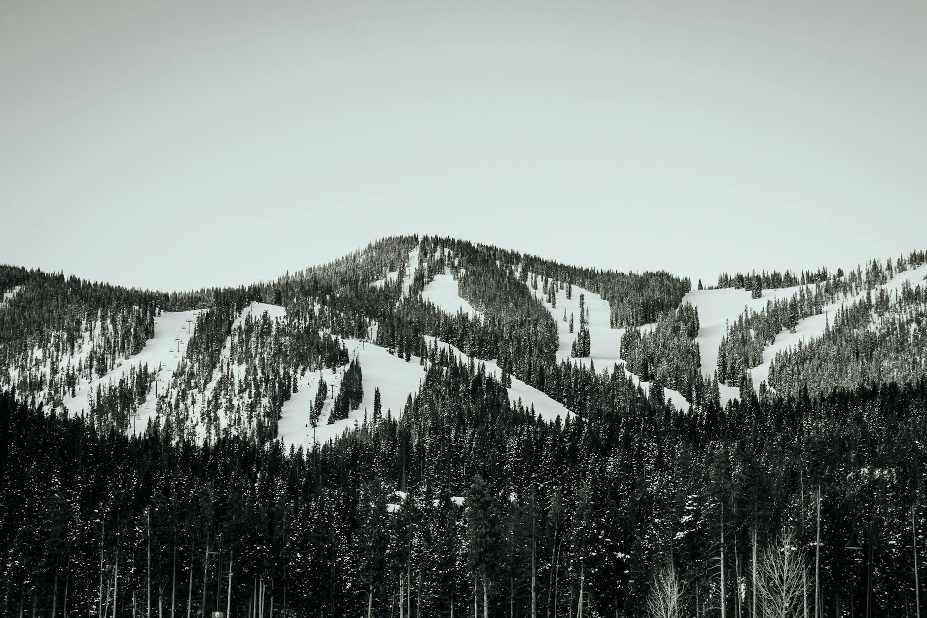 The Mountain Guide: Hiking, Climbing & Scenic Trails