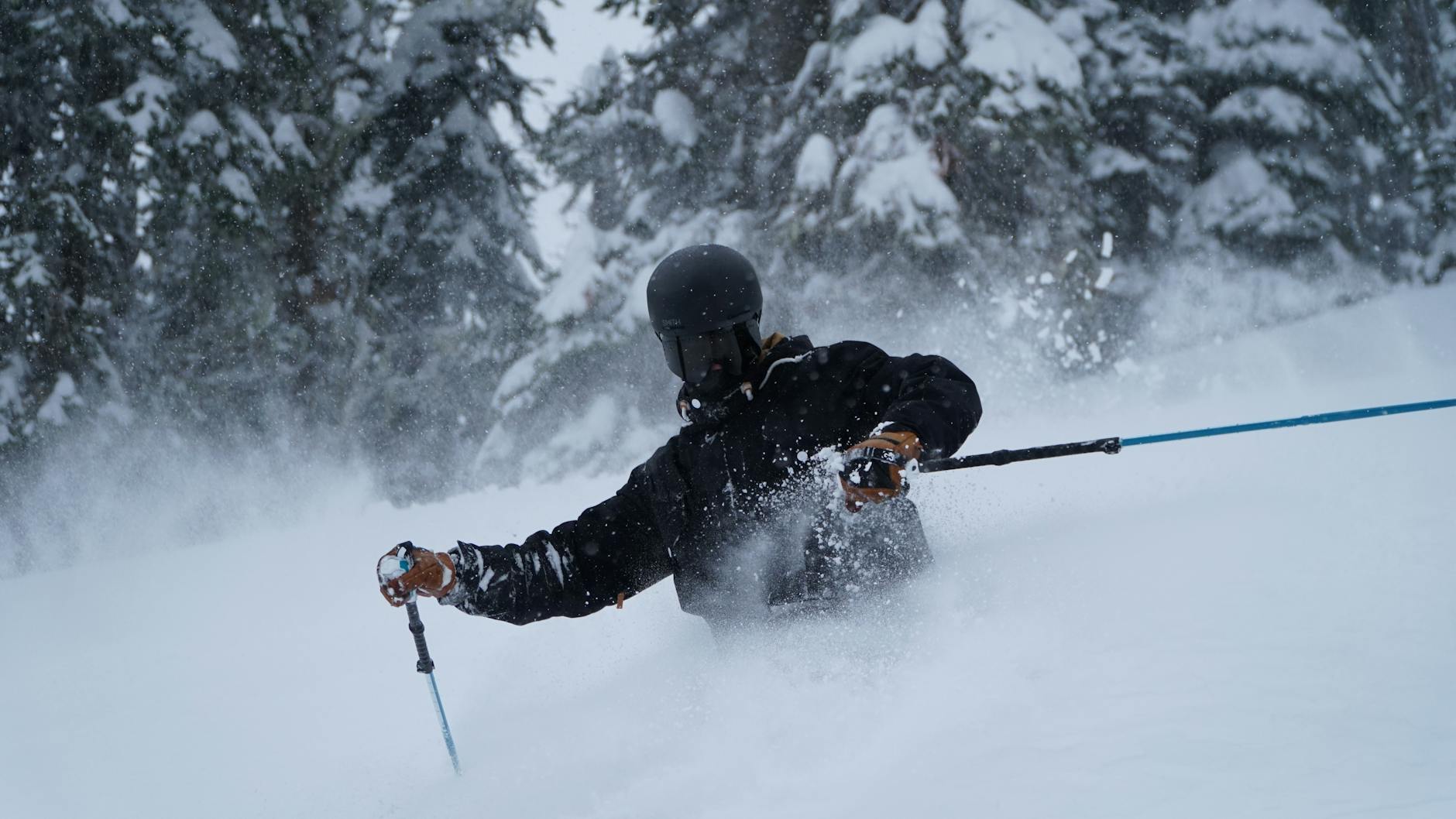 The Wild East Cat-Skiing - Powder Adventures on Europe's Edge