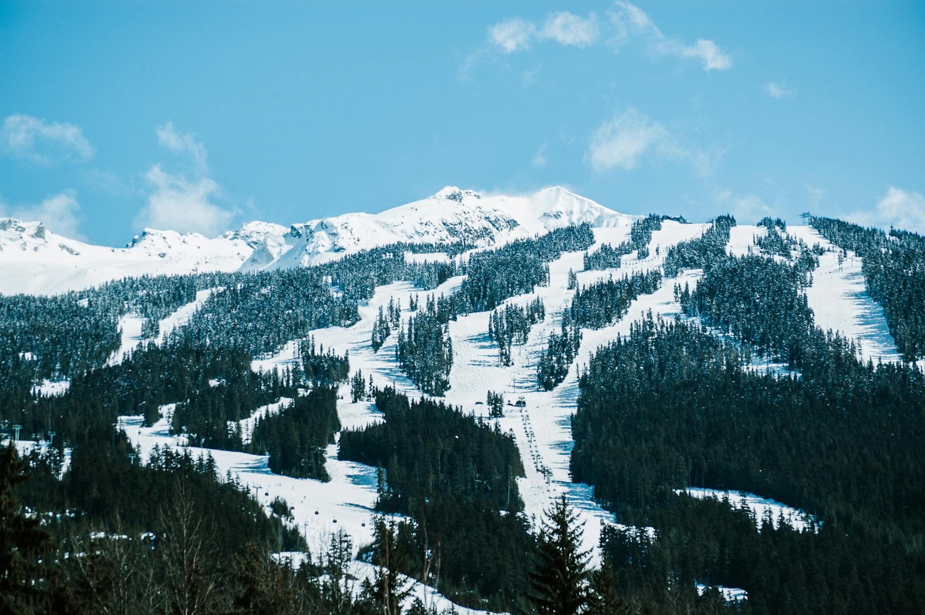 Whistler Off-Slope Adrenaline Adventures